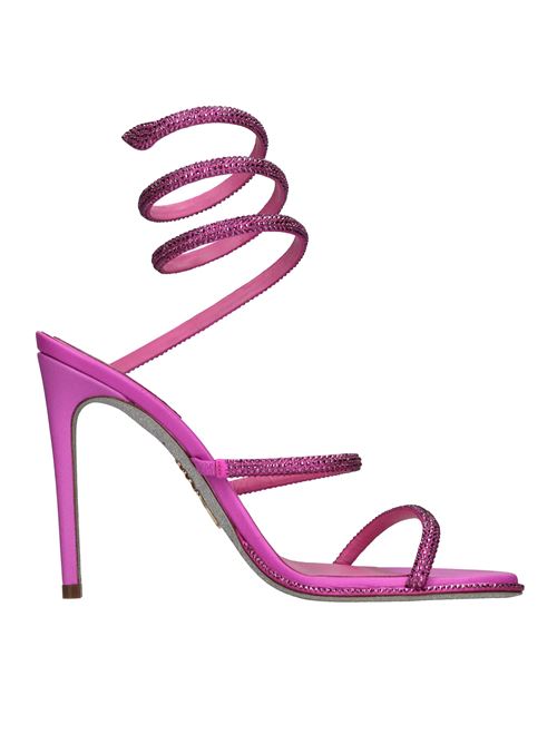  RENE CAOVILLA | C10416-105-R0013036FUXIA